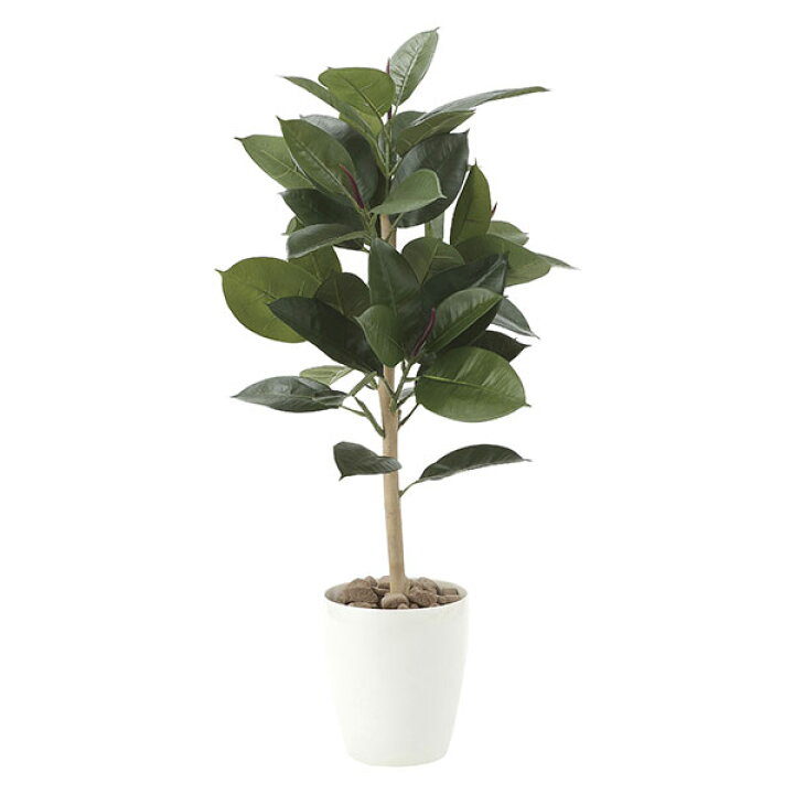 光触媒 人工観葉植物 観葉植物 リビング 消臭 グリーン 水やり不要 カフェ フェイクグリーン フェイク フェイクグリ−ン ロビー エントランス 玄関 インテリア 植物 インテリアグリーン おしゃれ 人工植物 パキラポットL 高さ55cm アートグリーン 新生活 お祝い お手入れ不要