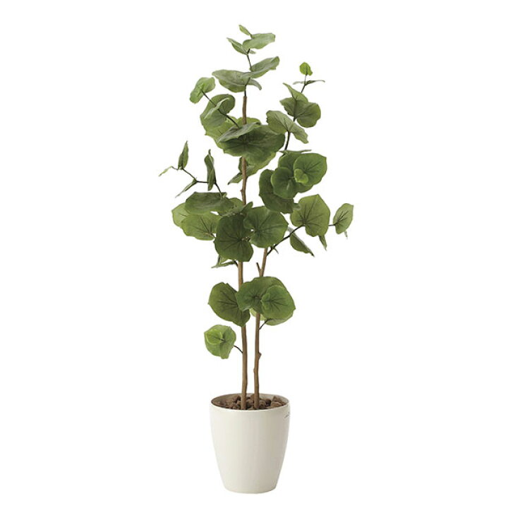 光触媒 人工観葉植物 観葉植物 リビング 消臭 グリーン 水やり不要 カフェ フェイクグリーン フェイク フェイクグリ−ン ロビー エントランス 玄関 インテリア 植物 インテリアグリーン おしゃれ 人工植物 パキラポットL 高さ55cm アートグリーン 新生活 お祝い お手入れ不要