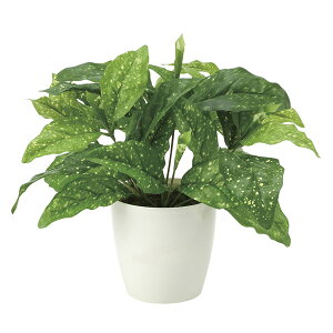 G} lHϗtA JtF ϗtA L r[ tFCNO| tFCNO[ rO  GgX O[ ItBX tFCN ~j  CeA G}H A Ce