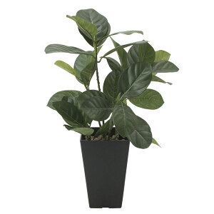 G} lHϗtA ϗtA rO O[ tFCNO[ tFCNO| JtF L tFCN r[ GgX ItBX  ͂Ȃ  CeA A Ce