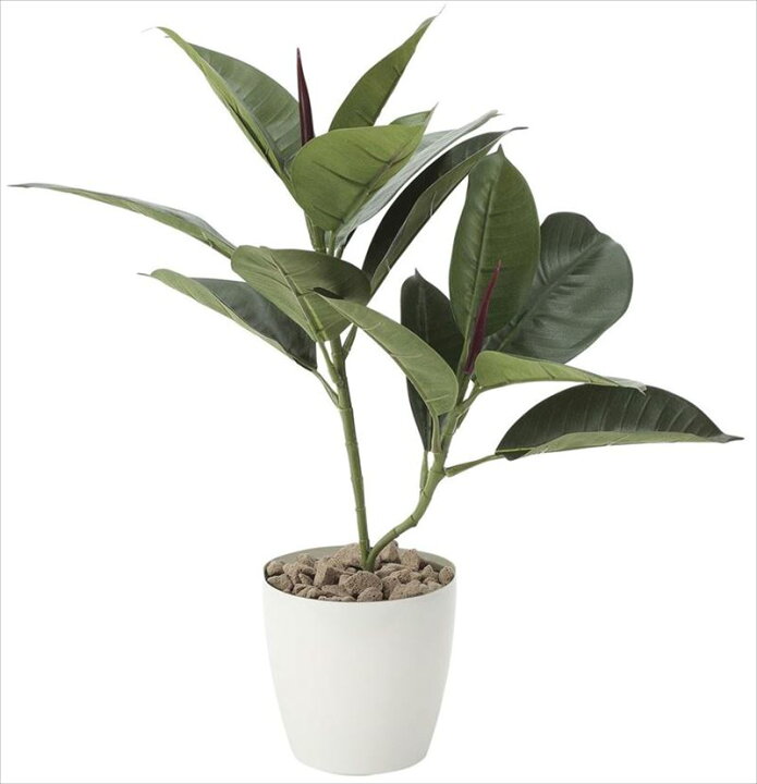 楽天市場 光触媒 人工観葉植物 フェイク 観葉植物 フェイクグリーン リビング フェイクグリ ン 鉢 消臭 カフェ ロビー エントランス 玄関 インテリアグリーン オフィス インテリア グリーン 植物 おしゃれ 人工植物 ゴムの木 高さ47cm アートグリーン 新生活 お祝い お