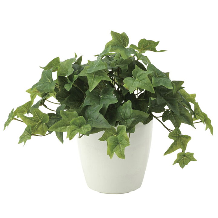 楽天市場 光触媒 人工観葉植物 エントランス 観葉植物 カフェ 消臭 フェイクグリ ン リビング フェイクグリーン ロビー アイビー グリーン オフィス ミニ 玄関 フェイク インテリア 植物 インテリアグリーン おしゃれ 人工植物 フレッシュアイビー 高さ30cm アート