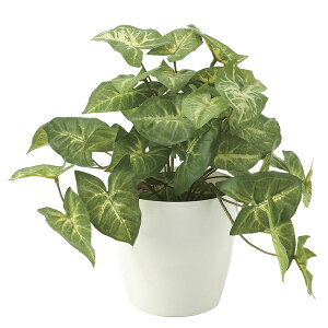 G} lHϗtA JtF ϗtA L r[ tFCNO| tFCNO[ rO  GgX O[ ItBX tFCN ~j  CeA A CeAO[