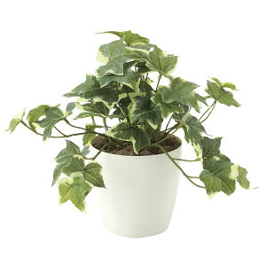 G} lHϗtA O[  ϗtA ItBX tFCNO| rO ~j tFCNO[ JtF  ACr[ r[ L GgX CeA tFCN A Ce