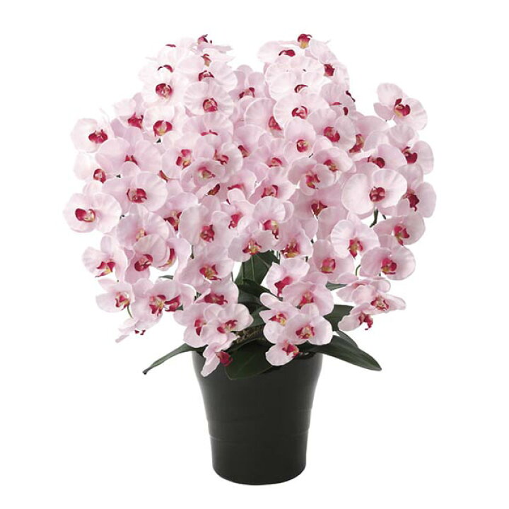 楽天市場 胡蝶蘭 ピンク インテリアグリーン 玄関 観葉植物 オフィス 造花 カフェ コチョウラン フェイクグリーン 花 ロビー リビング 光触媒造花 消臭 おしゃれ フェイク オシャレ グリーン 植物 光触媒 人工観葉植物 インテリア プレミアム胡蝶蘭7本立p 母の日 アート