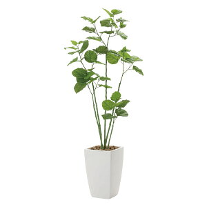 G} lHϗtA CeAO[ lH   傫 lHA CeA tFCNO[ ϗtA O[ tFCN A L ^ A[ou`Ex[^ R