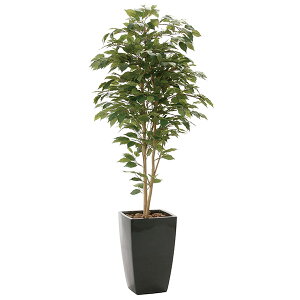 G} lHϗtA ϗtA  R  傫 lHA CeA CeAO[ tFCNO[ O[ tFCN ^ 180cm A A[oxW~1.8 h 