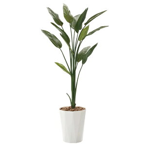 G} lHϗtA  L  CeAO[ sv lHA tFCNO[ 傫 O[ ϗtA tFCN A 160cm CeA ^ Xg`A1.6 R 