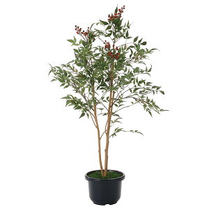 G} lHϗtA CeAO[ h   tFCNO[ lHA CeA ϗtA 100cm V1.0 tFCN O[ A L lH R G}H 