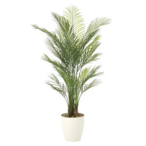 G} lHϗtA CeAO[  G}H  lHA ϗtA tFCNO[ 傫 O뉀 A CeA OΉ AJp[ 150cm lH L O