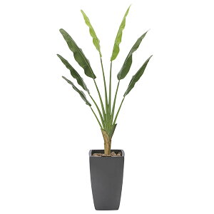 G} lHϗtA  ϗtA CeAO[ G}H 傫 tFCNO[ R 180cm  L lHA CeA A[ggx[Yp[ h lH A 