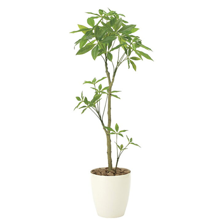 楽天市場 光触媒 人工観葉植物 おしゃれ グリーン 観葉植物 インテリアグリーン 抗菌 造花 高さ130cm フェイクグリーン 消臭 人工植物 インテリア 防汚 パキラ 人工 光触媒加工 植物 お手入れ不要 北欧 玄関 リビング 引っ越し祝い 開店祝い オフィス 母の日 アート 楽天市場 光触媒 人工観葉植物 おしゃれ グリーン 観葉植物 インテリアグリーン 抗菌 造花 高さ130cm フェイクグリーン 消臭 人工植物 インテリア 防汚 パキラ 人工 光触媒加工 植物 お手入れ不要 北欧 玄関 リビング 引っ越し祝い 開店祝い オフィス 母の日 アート
