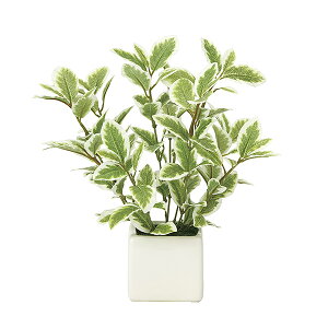 G} lHϗtA CeAO[  L  CeA O[ tFCNO[ ~jO[ tFCN ~j 21cm ~j[t ϗtA lHA lH G}H A