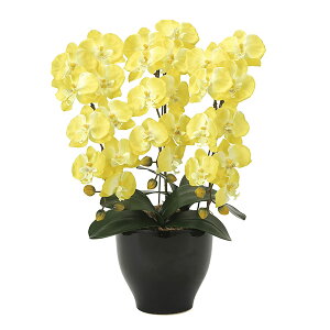 G} Ӓ  CeAO[ G}H CeA CG[ R`E  A[gt[ lHϗtA Mtg  lH A L O[ IV sv k