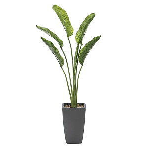 G} tFCNO[  CeAO[ G}H ϗtA 180cm 傫 O[ A  I[KX^ lH L CeA lHϗtA A sv k 