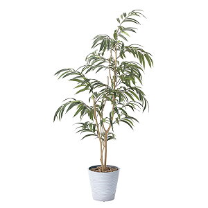 G} ϗtA  CeAO[  A sv 傫  tBJX L lHϗtA fBXvC 180cm CeA O[ G}H lH sv 