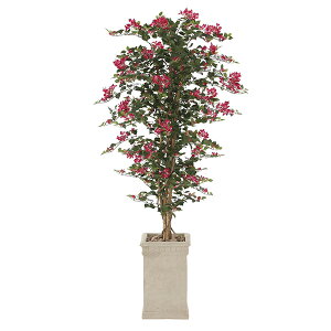 G} tFCNO[  sv ϗtA CeAO[ 160cm 傫 O[ A  u[QrA CeA lHϗtA lH L A k G}