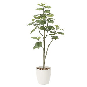 G} ϗtA  CeAO[  A L 傫 Ex[^ lHϗtA  180cm G}H O[ fBXvC CeA lH sv A k