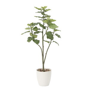 G} tFCNO[ CeAO[  ϗtA G}H 150cm 傫 O[ A  Ex[^ CeA lH lHϗtA L A sv k