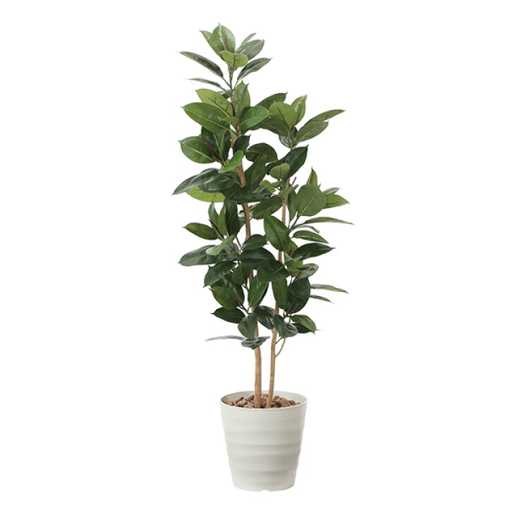 楽天市場 光触媒 観葉植物 インテリアグリーン インテリア 植物 おしゃれ 高さ160cm 造花 ゴムの木 ディスプレイ 光触媒加工 消臭 グリーン 玄関 人工観葉植物 人工 お手入れ不要 リアル 北欧 リビング 引っ越し祝い 開店祝い オフィス 母の日 アートフラワー 可愛い
