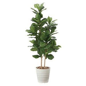 G} ϗtA  CeAO[ CeA A 160cm 傫 JVoS lH  G}H  L O[ lHϗtA sv A k rO 