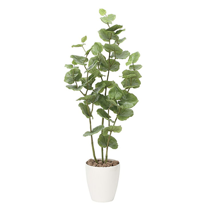 光触媒 人工観葉植物 ウォールグリーン フェイクグリーン シーグレープ  