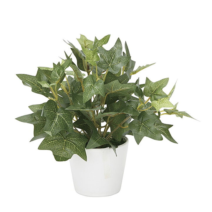 楽天市場 光触媒 人工観葉植物 おしゃれ ミニ ミニグリーン インテリアグリーン インテリア 造花 グリーン 高さ23cm アイビー 人工植物 フェイク 人工 観葉植物 消臭 光触媒加工 植物 お手入れ不要 北欧 玄関 リビング 引っ越し祝い 開店祝い オフィス 母の日 アート 楽天市場 光触媒 人工観葉植物 おしゃれ ミニ ミニグリーン インテリアグリーン インテリア 造花 グリーン 高さ23cm アイビー 人工植物 フェイク 人工 観葉植物 消臭 光触媒加工 植物 お手入れ不要 北欧 玄関 リビング 引っ越し祝い 開店祝い オフィス 母の日 アート