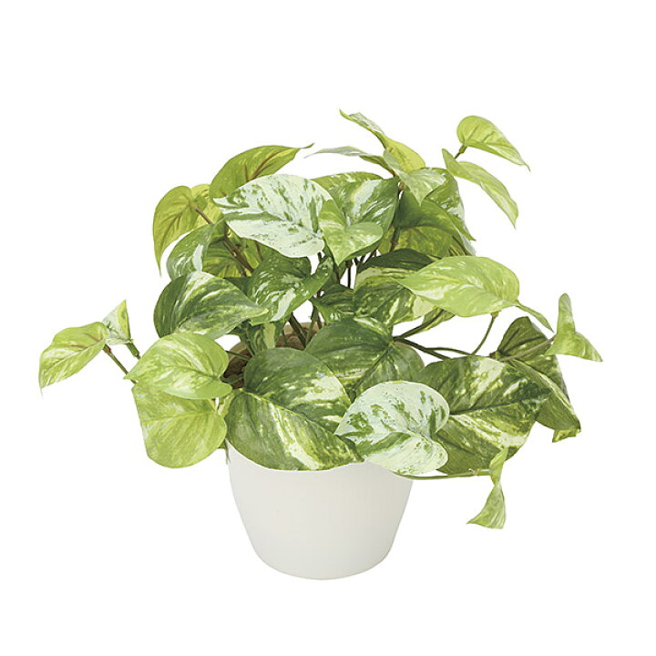 楽天市場 光触媒 人工観葉植物 インテリアグリーン おしゃれ 観葉植物 造花 水やり不要 グリーン フェイクグリーン フェイク 人工植物 高さ25cm インテリア ミニ 消臭 ミニグリーン マーブルポトス 人工 ポトス 光触媒加工 植物 北欧 玄関 リビング 引っ越し祝い 開店