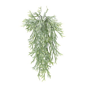 G} lHϗtA CeA CeAO[   sv 50cm tFCNO[ h L X^bOz[ Ǌ| R A lHA O[ lH G}H 