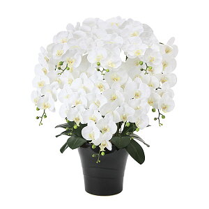 G} Ӓ R`E tFCNO[ Mtg   L  zCg CeAO[ lHϗtA A[gt[ G}H A CeA lH O[ 