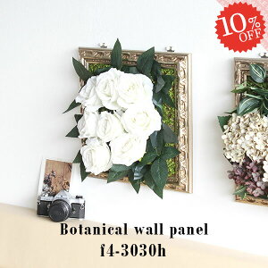 tFCNO[ t[AWg  G} S[h Ǌ| t[ CeA  tFCNt[ o  C A[gpl ǖ  A ̓ fBXvC EH