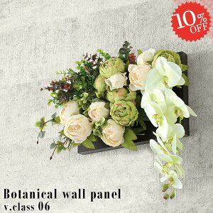 tFCNO[ Ǌ| Ӓ G}  t[AWg C R`E  A[eBtBVt[ A[gt[ ͂Ȃ  G}H AW EH