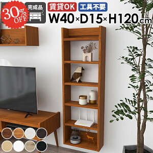 ウォールシェルフ 石膏ボード 吊り戸棚 本棚 収納棚 壁面収納 壁につける棚 壁掛け棚 奥行15cm ディスプレイラック 賃貸 薄型 吊戸棚 おしゃれ 簡単取付 細い トイレ棚 北欧 飾り棚 壁付け 隙