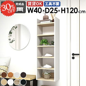 壁掛け棚 ウォールシェルフ 石膏ボード 吊り戸棚 本棚 収納棚 洗面所 トイレ収納 薄型 吊戸棚 壁面収納 おしゃれ 縦 賃貸 完成品 食器棚 細い 壁付け 飾り棚 隙間収納 トイレ棚 ピン取付 壁に