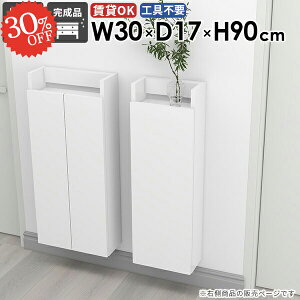 EH[VFt ݂˒I  B[ ΍p{[h  Ǌ|I EH[Lrlbg t k i ^ ȃXy[X ǂɕtƋ ܎[ s15cm gCI X