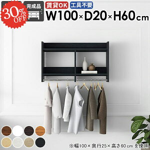 ウォールシェルフ コート掛け 壁掛け パイプハンガー 賃貸取り付け コートラック コートハンガー 洗面所 ウォールハンガー 玄関 奥行20 石膏ボード 玄関収納 北欧 ハンガー掛け タオルハン