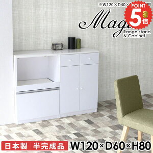 Lb`Lrlbg Lrlbg [^Cv t ؐ 120 W 120cm  HI  W{[h Ƒ dqW XChe[u ^WΉ  ItBX