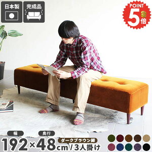 _CjOx` 2l|  ֎q 3l wȂ A[X x`\t@[ x`Xc[ kbN x``FA x`  A[X\t@ _CjO Ђ 3l|