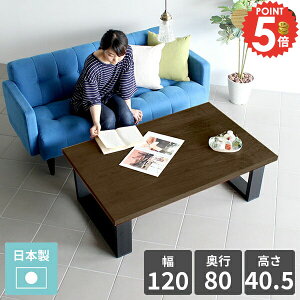 [e[u Z^[e[u 40cm JtFe[u  rOe[u k \t@[e[u PCfXN 2lp rOwK  ڃe[u fXN [fXN 傫 ؐ 