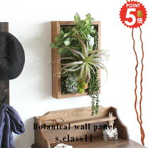 楽天市場】トイレ 収納 壁掛け（花・観葉植物｜花・ガーデン・DIY）の通販