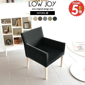 _CjO`FA ʒႢ I|֎q  O[ _CjO`FA[ fXN`FA It k Ⴂ  _CjO\t@[ ʍ40cm 1l JtF ЂƂ肪 ɂ 