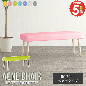 x`\t@[ wȂ _CjO`FA x` ؐ  120cm _CjO 2l 킢 ou rOx` ҍ IV 烌U[ 2lp k x``FA x