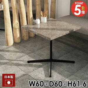 JtFe[u nCe[u \t@e[u   񍂂60cm {r O[ ` 嗝Ε PCfXN Ƒ Z^[e[u lp   60cm 60 Vv { _Cj