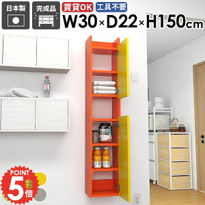 ウォールシェルフ ウォールラック 吊り戸棚 石膏ボード 洗面所収納 扉付き 壁掛け棚 ウォールキャビネット スリム すきま収納 おしゃれ かわいい 賃貸 トイレ棚 壁に付けられる家具 縦 本棚