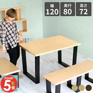 _CjOe[u 2lp 120 EH[ibg 2l| k JtFe[u p\RfXN _CjOp 120cm rO JtF lp \t@_CjOe[u ؐ { e[u 