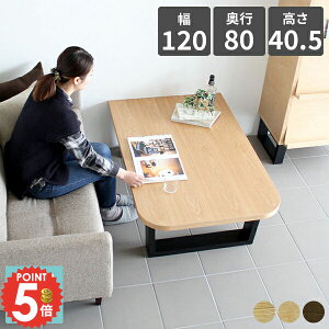 [e[u  rOe[u [fXN p\RfXN k e[u [^Cv Z^[e[u JtFe[u 120cm Ⴂ \t@[ɍ ؐ p 2lp   