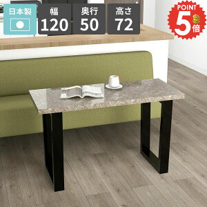 _CjOe[u 120cm He[u rO_CjO \t@[e[u  l JtFe[u lp 嗝Β 2lp O[  ƃXy[X 2l| rOe[u P