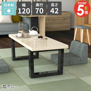 [e[u  rOe[u [^Cv Ƒ lp p\RfXN  \t@[e[u He[u zCg rOfXN { 120cm ڎ JtFe[u  