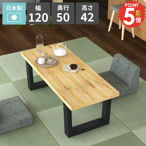 [e[u  lp rOe[u JtFe[u Z^[e[u rOfXN ؐ [^Cv  Ƒ \t@[e[u 2l| 120cm VRؓ˔  { p