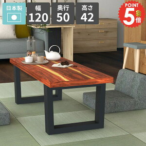 Z^[e[u 2l| [^Cv  \t@[e[u [e[u { VRؓ˔  He[u rOfXN lp Ƒ 120cm p\RfXN JtFe[u 